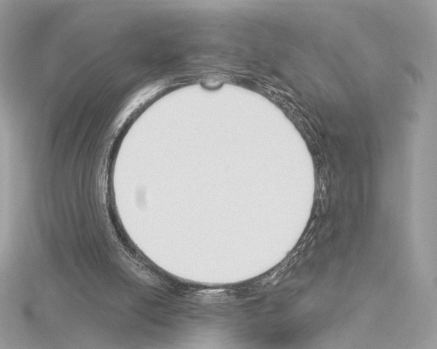 X0000115050054200912071139