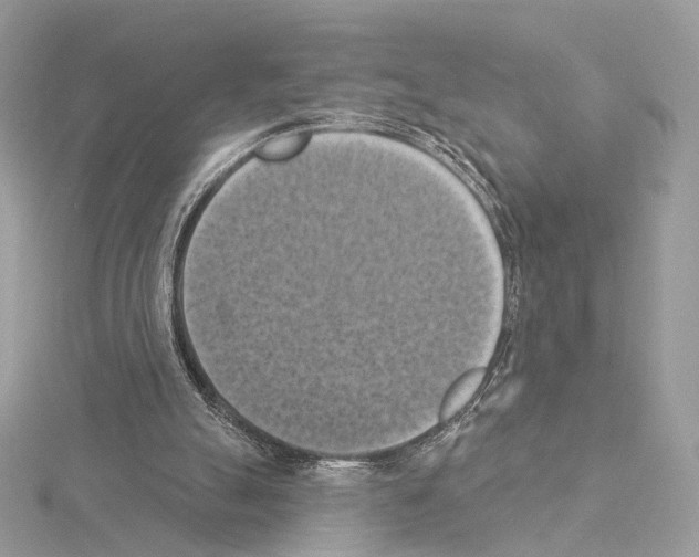 X0000115050055200912071139