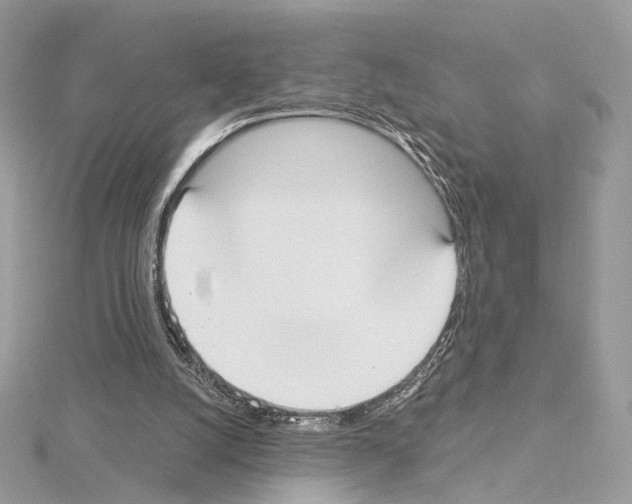 X0000115050056200912071139