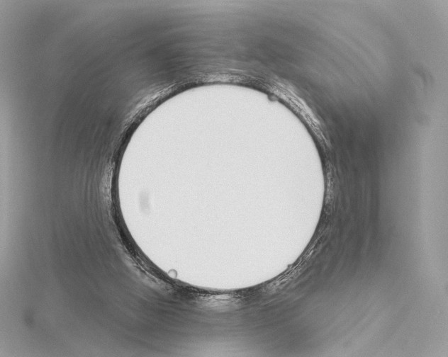 X0000115050058200912071139