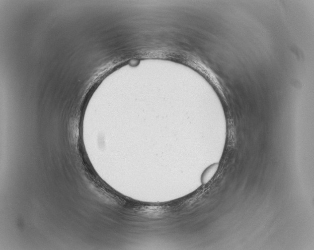 X0000115050059200912071139