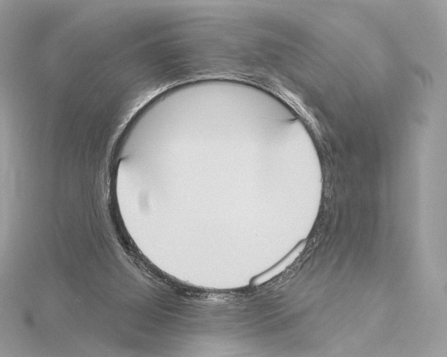 X0000115050060200912071139