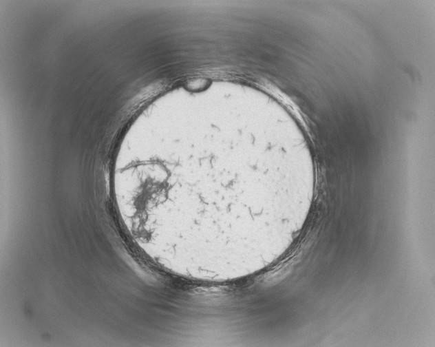 X0000115050061200912071139