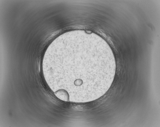 X0000115050062200912071139