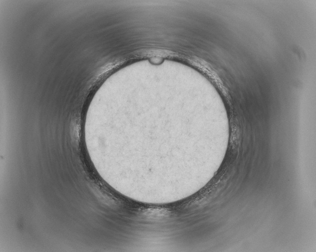 X0000115050063200912071139