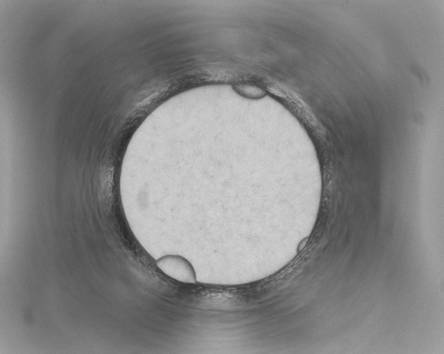 X0000115050066200912071139