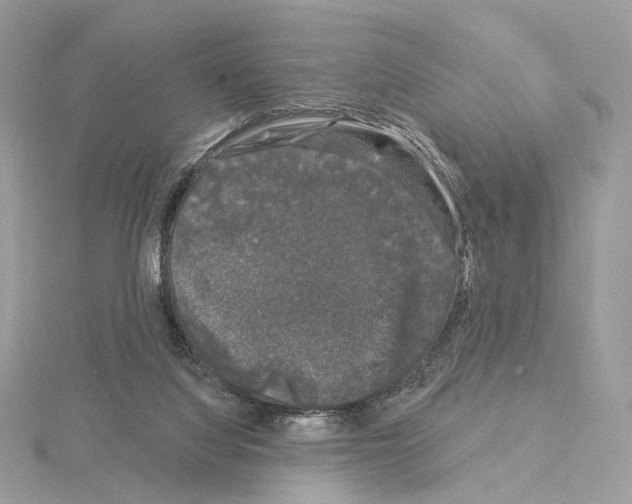 X0000115050068200912071139