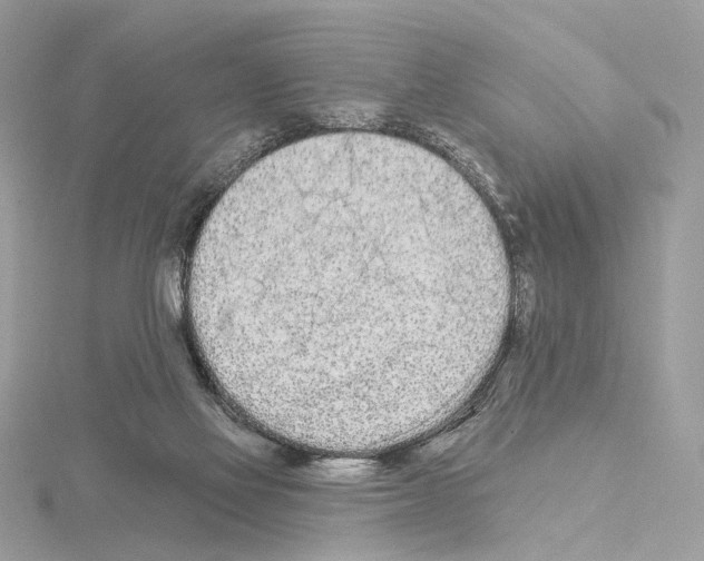 X0000115050069200912071139