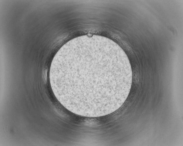 X0000115050070200912071139