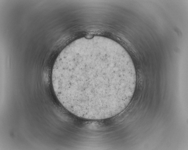 X0000115050074200912071139