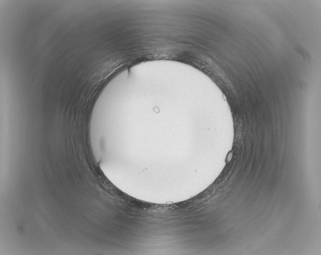 X0000115050076200912071139