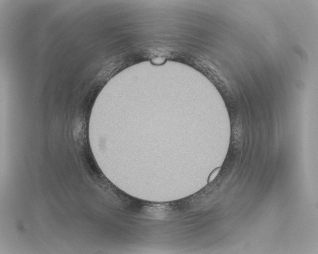 X0000115050079200912071139