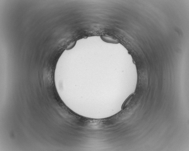 X0000115050088200912071139