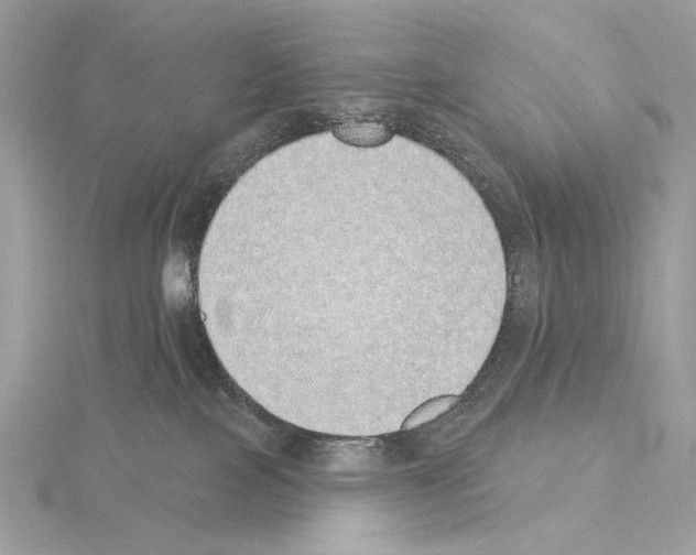 X0000115050089200912071139