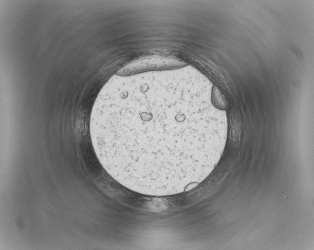 X0000115050091200912071139