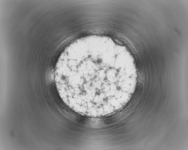 X0000115050095200912071140