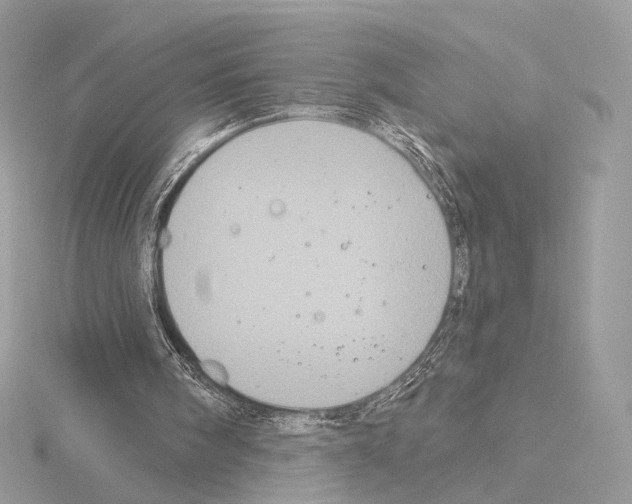 X0000115050098200912071139