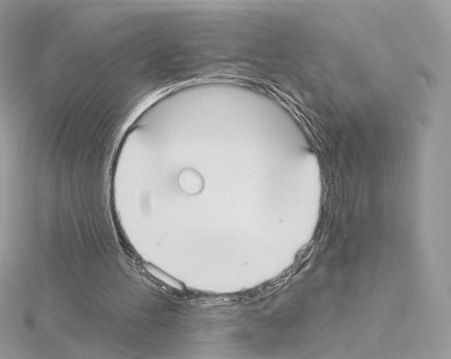 X0000115050100200912071139