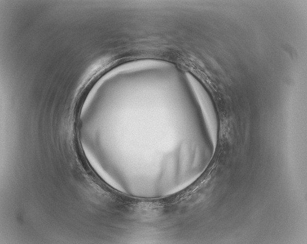 X0000115050101200912071139