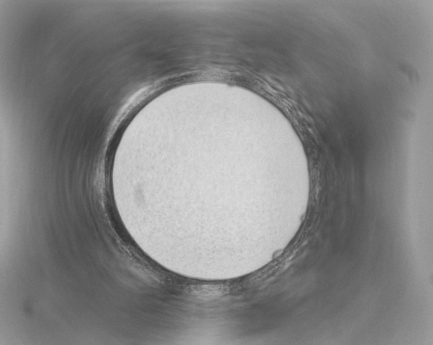 X0000115050102200912071139