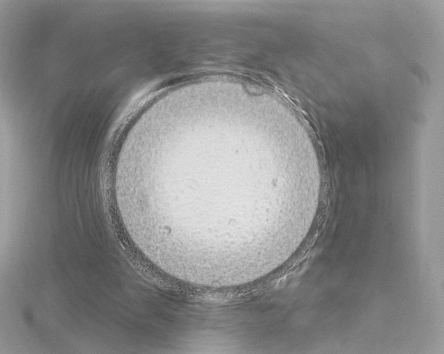 X0000115050103200912071139