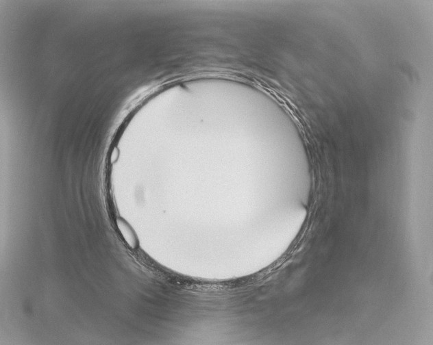 X0000115050104200912071139