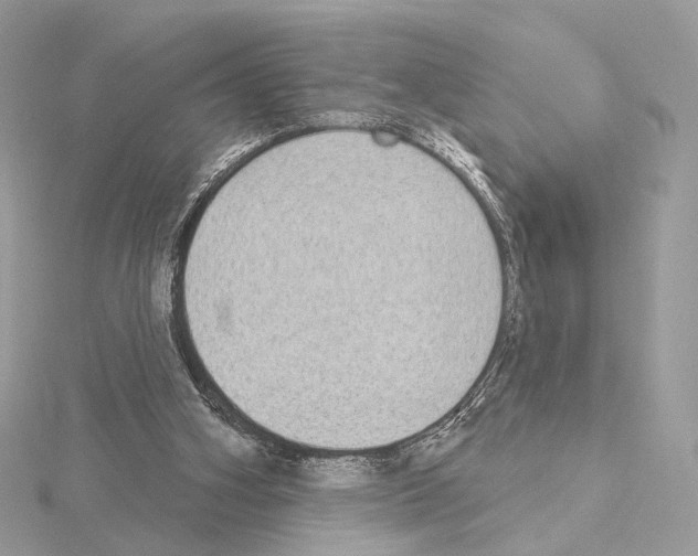 X0000115050106200912071139