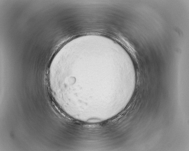 X0000115050107200912071139