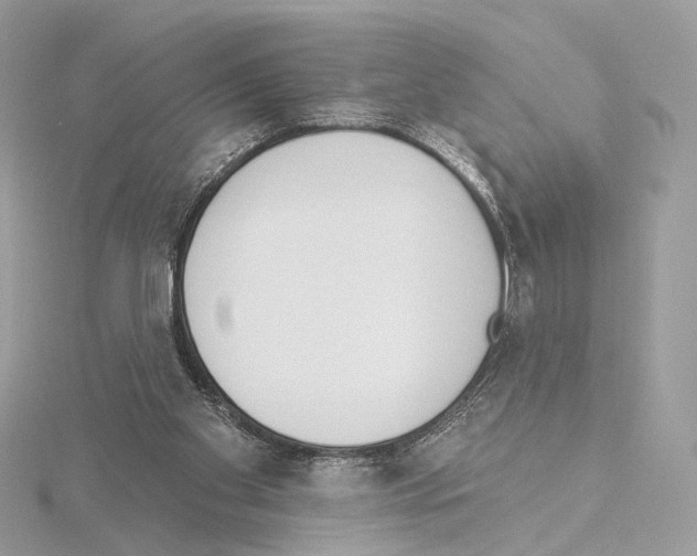 X0000115050109200912071139