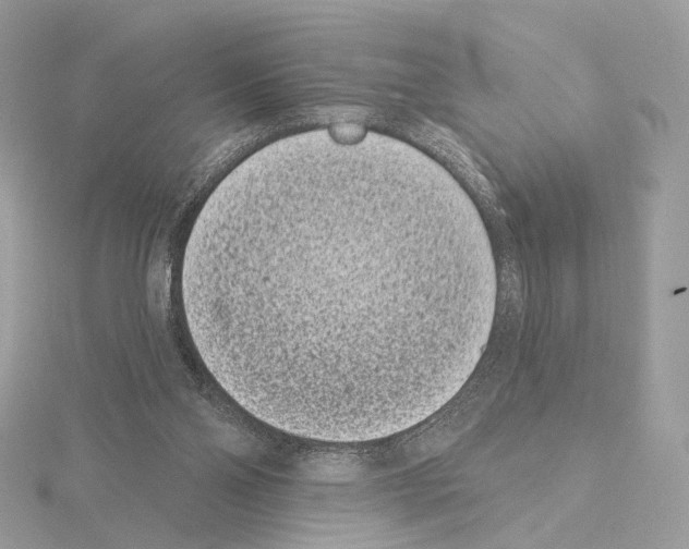 X0000115050110200912071139