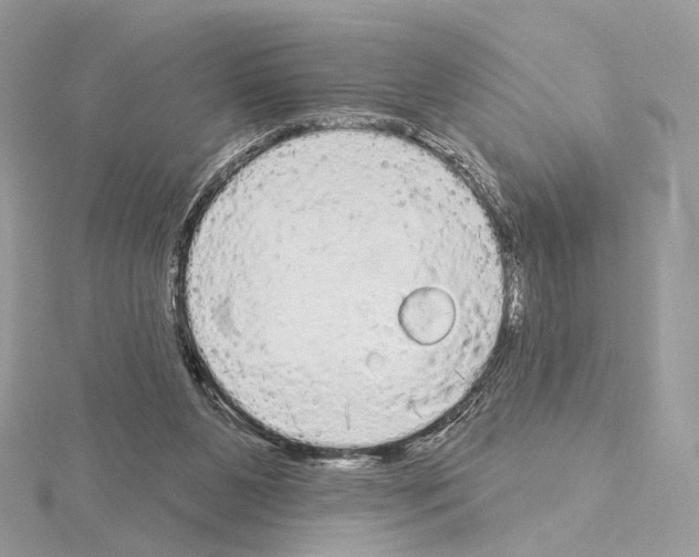 X0000115050111200912071139