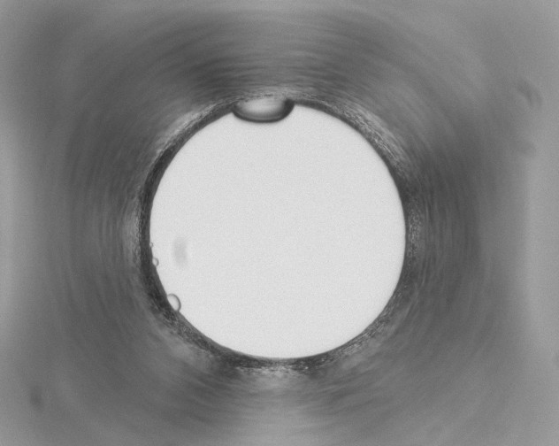 X0000115050112200912071139