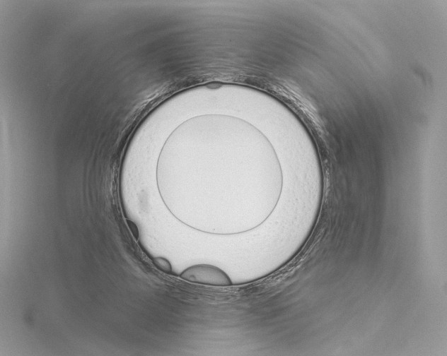 X0000115050115200912071138