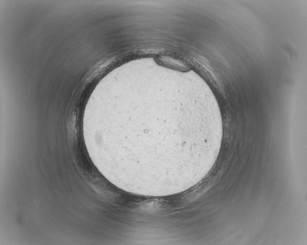 X0000115050116200912071138