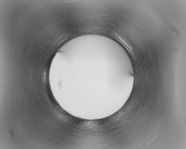 X0000115050117200912071138