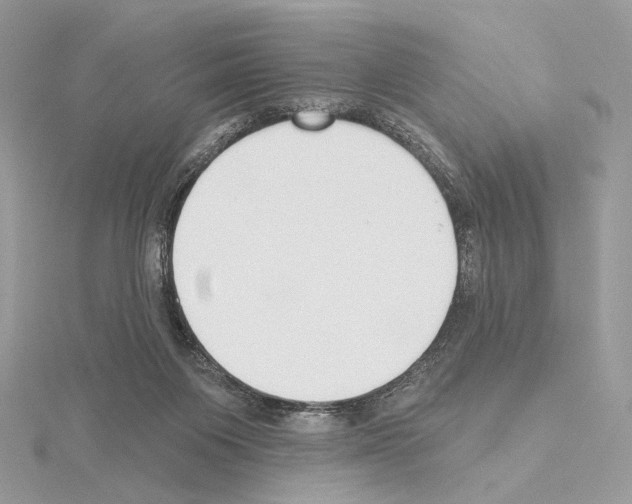 X0000115050119200912071138