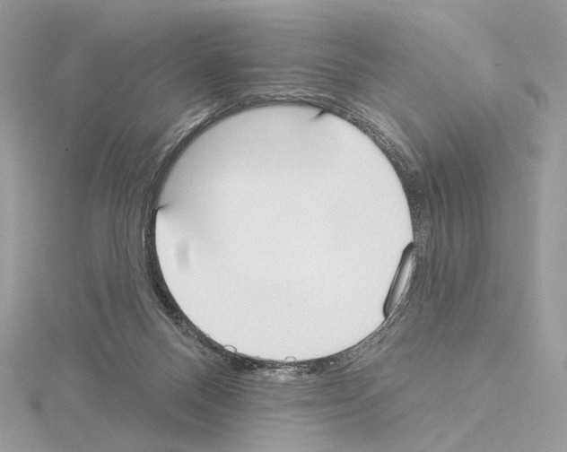 X0000115050120200912071138