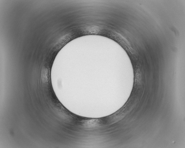 X0000115050122200912071138