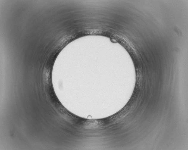 X0000115050123200912071138