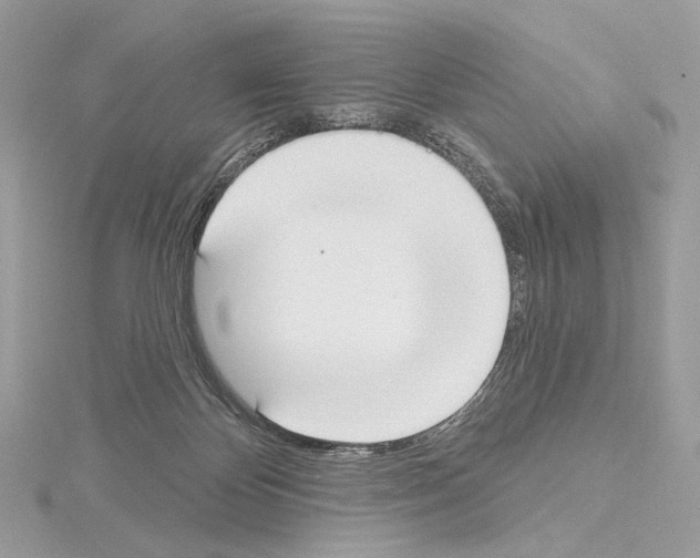 X0000115050124200912071138