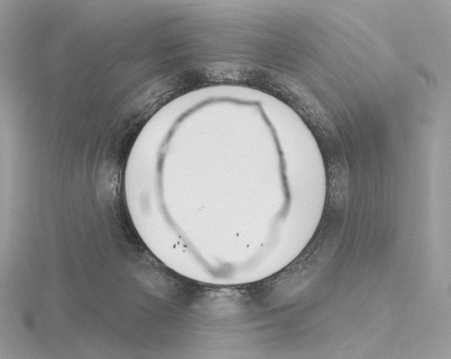 X0000115050125200912071138