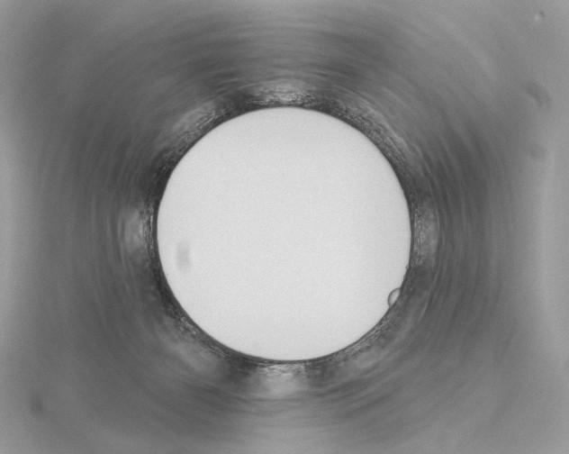 X0000115050126200912071138