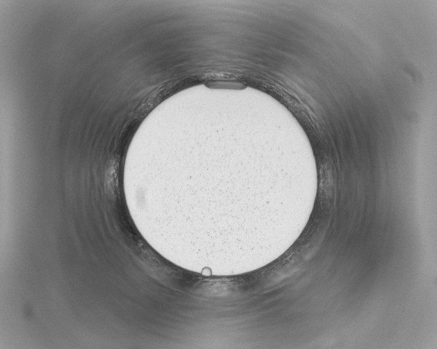 X0000115050127200912071138