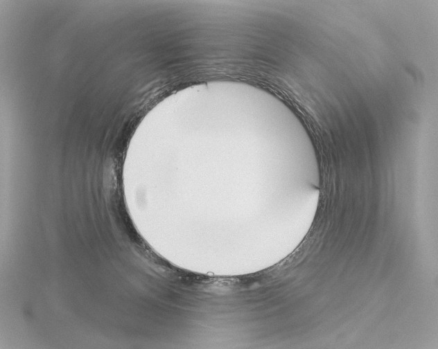 X0000115050128200912071138