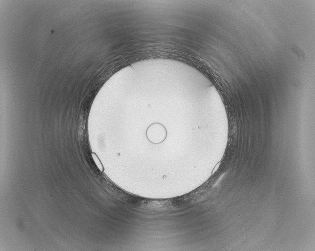 X0000115050129200912071138