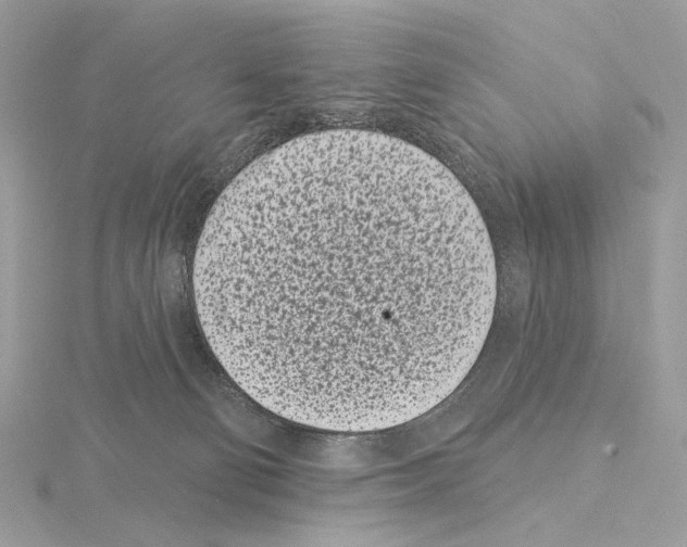 X0000115050130200912071138