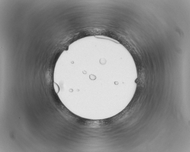 X0000115050131200912071138