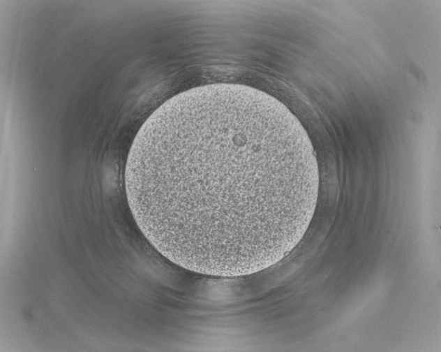 X0000115050134200912071138