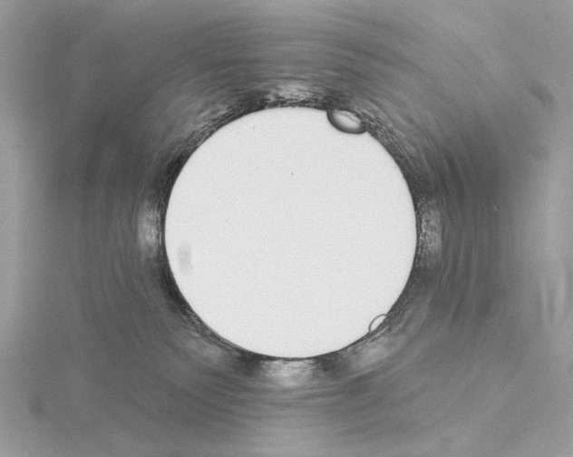 X0000115050135200912071138