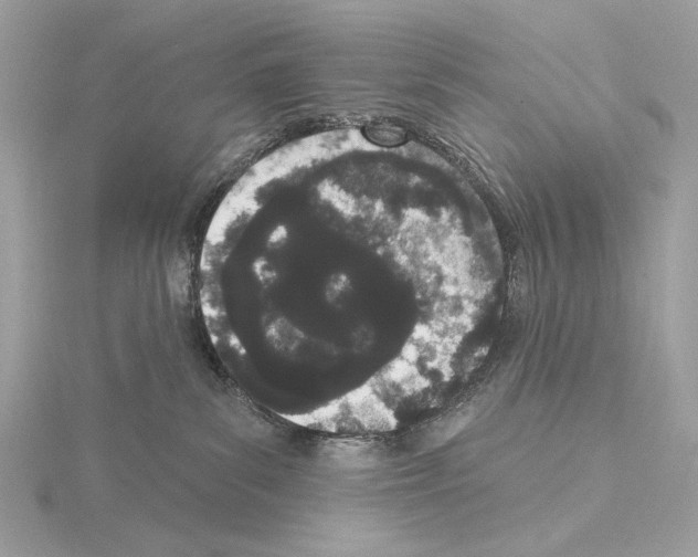 X0000115050139200912071138